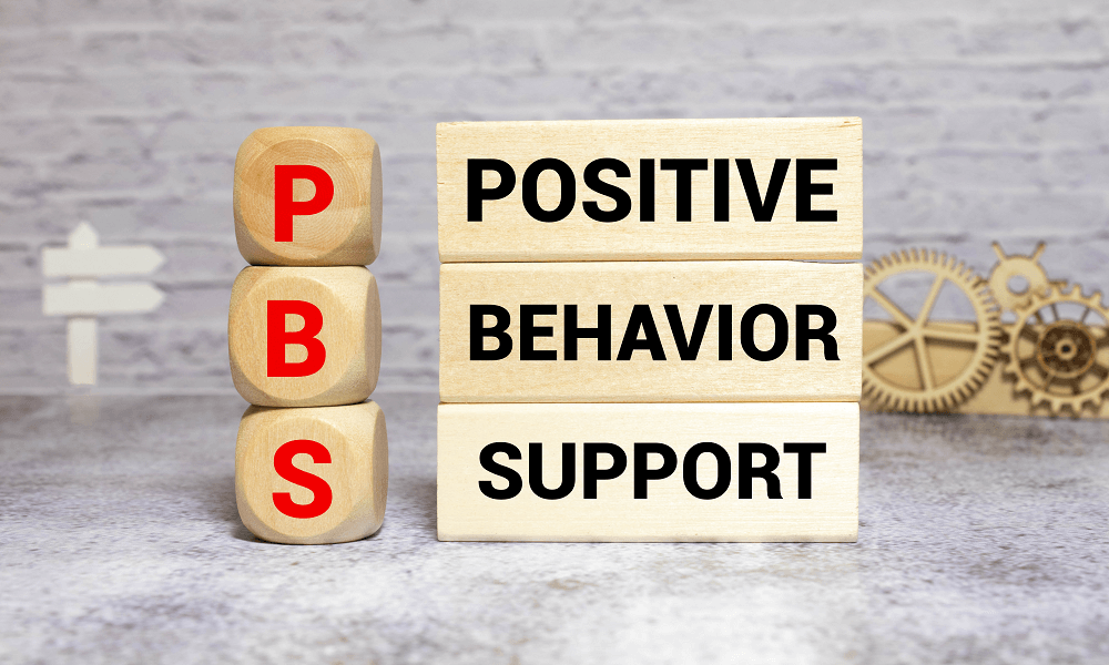positive behaviour support