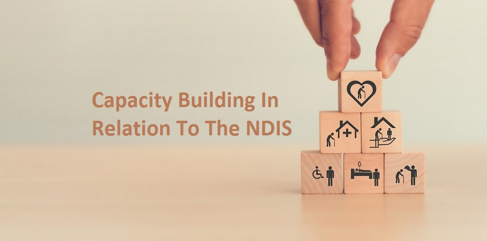 Capacity Building In Relation To The NDIS