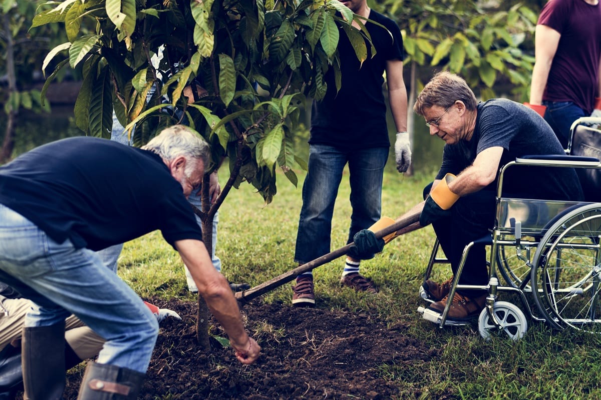 Support Coordination for adults with disability